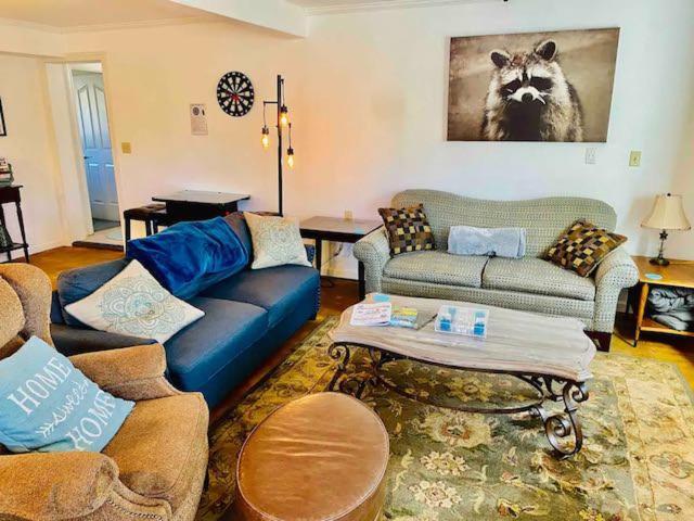 Raccoon Hideout Hot Tub Bbq Arcade Darts Villa Oakhurst Ngoại thất bức ảnh